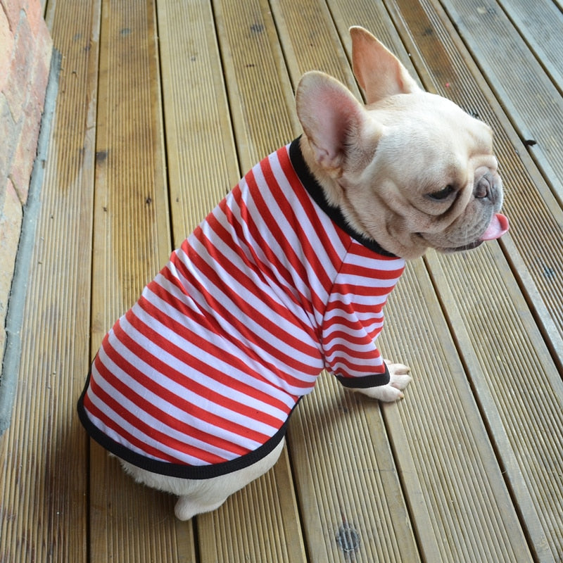 Colorful Comfy Striped Dog T-Shirt