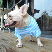 Colorful Comfy Striped Dog T-Shirt