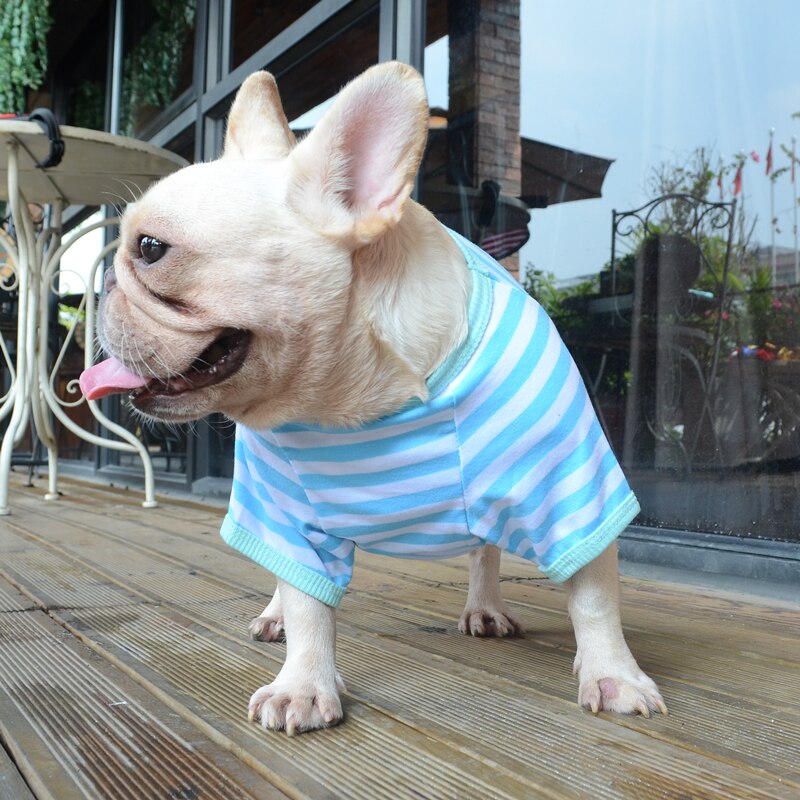 Colorful Comfy Striped Dog T-Shirt