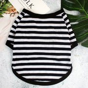 Colorful Comfy Striped Dog T-Shirt